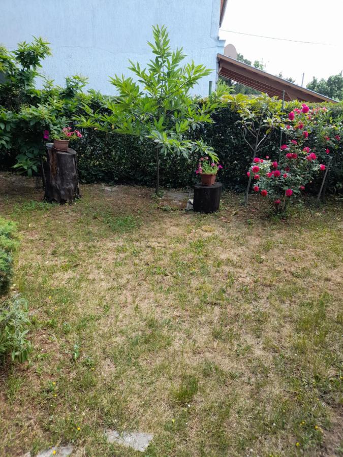 Privacy Apartman Krmpote-Vodice Kültér fotó